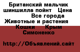 Британский мальчик шиншилла-пойнт › Цена ­ 5 000 - Все города Животные и растения » Кошки   . Крым,Симоненко